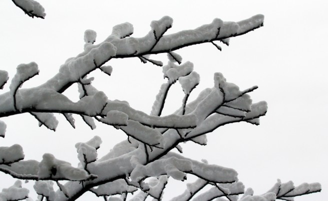 Сняг в София
