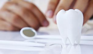 Зъбите ще се възстановяват сами със стволови клетки