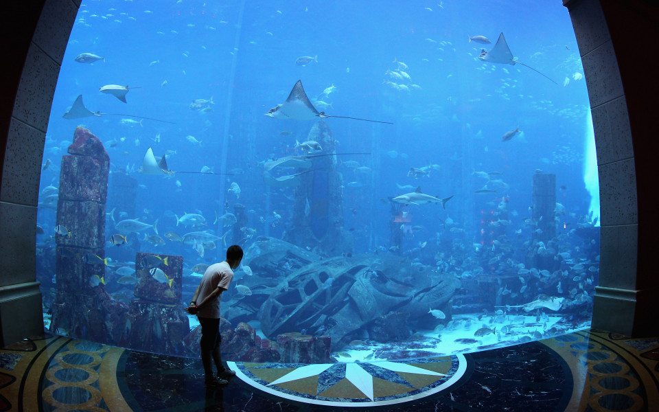 Проектират подводен тенис корт в Дубай