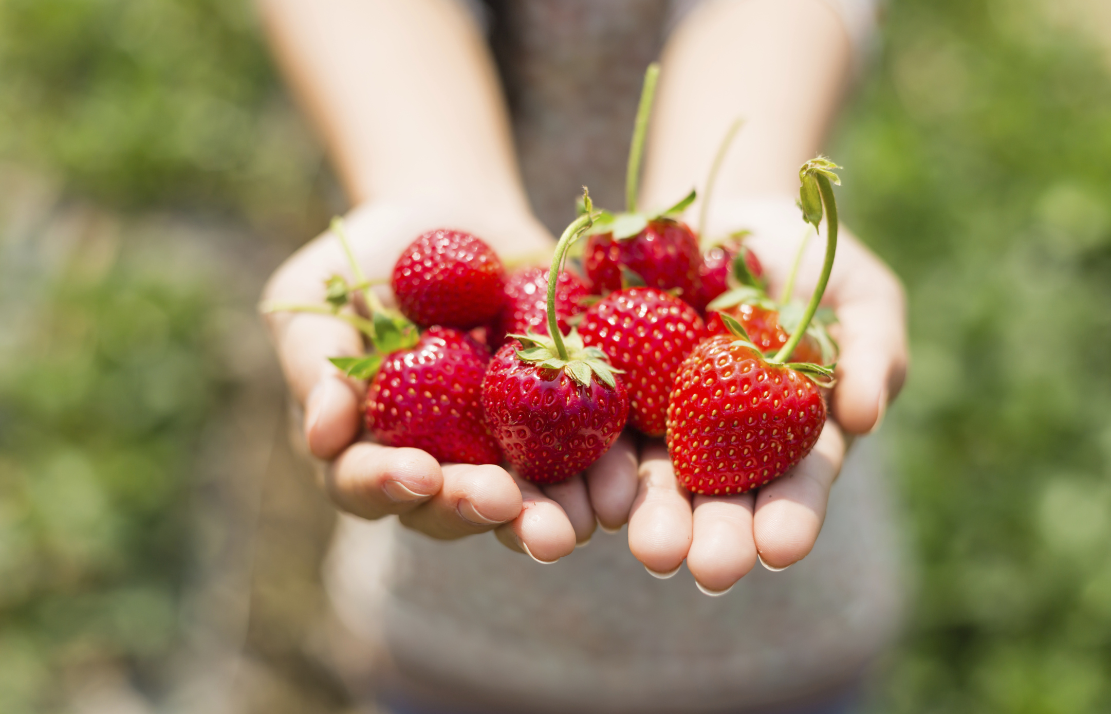 Ягоди<br />
<br />
Kакто органичните, така и конвенционално отглежданите ягоди получават ярко червеният си цвят от антиоксидантни съединения, за които е установено, че намаляват възпалението и намаляват риска от сърдечно-съдови заболявания, рак и когнитивен спад. Въпреки това конвенционалните ягоди имат сериозен недостатък: те са покрити с пестициди, които могат да причинят забавяне в метаболизма и да направят по-трудно отслабването. Вашият най-добър ход е да купувате органични плодове и зеленчуци, когато е възможно.