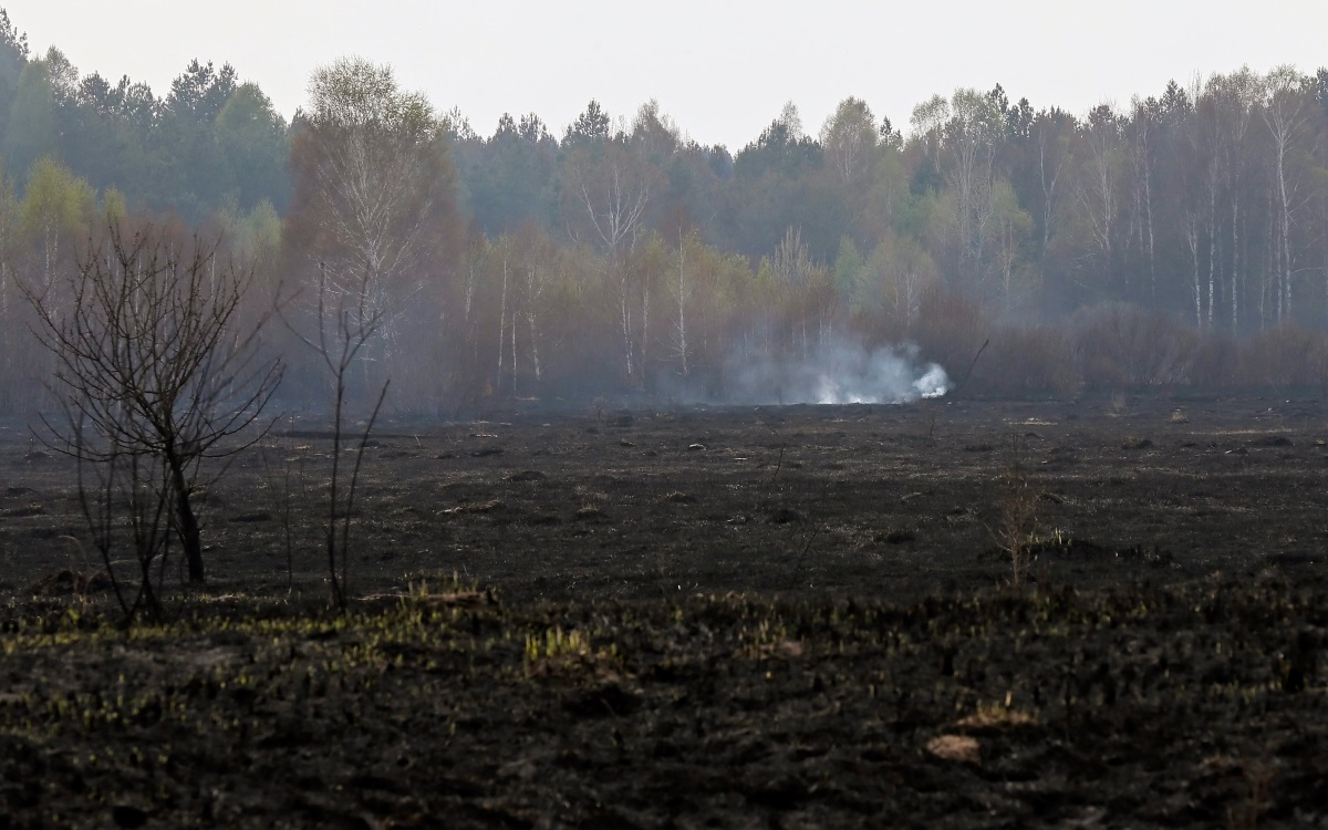 Пожарът край АЕЦ Чернобил е под контрол