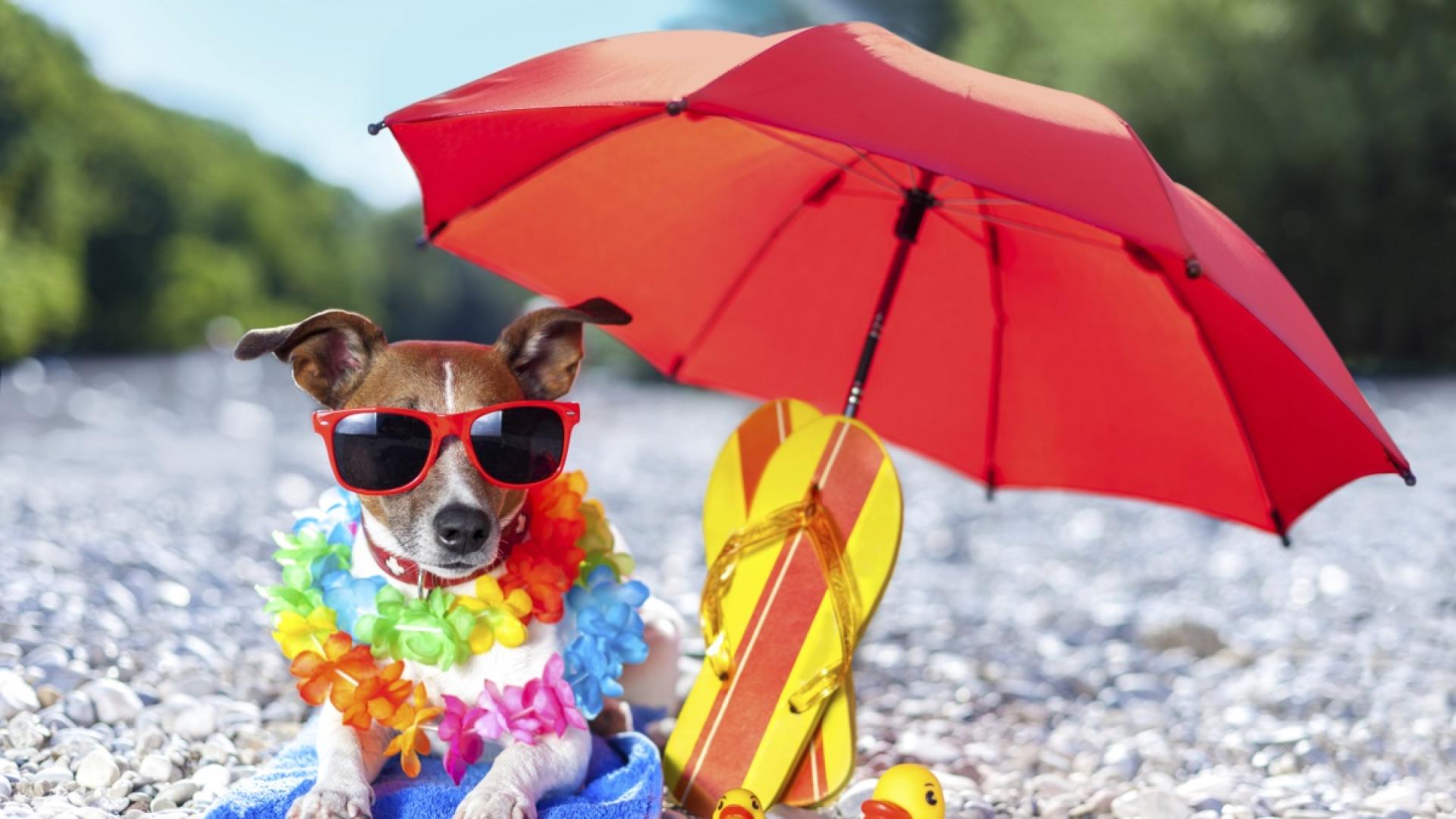 Предупреждение от първа степен – е обявено за 18