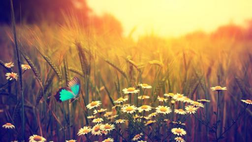  <p>Става горещо, ще има ли валежи</p> 