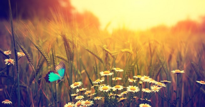 В неделя времето остава без съществена промяна Преди обед ще