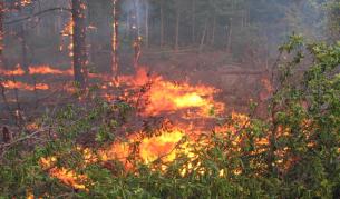 Пожарът в община Харманли е ограничен