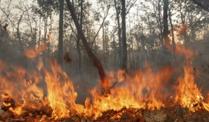Пожар в Тюленово спрян на метри от цистерни за нефт