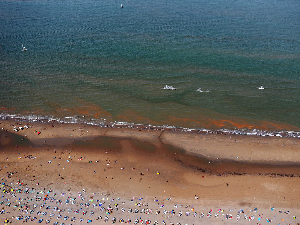 Снимка предоставена от холандската полиция показва червена ивица на плажа Васенаарската, Холандия. Хората са предупредени да не влизат в морето, поради наличието на вид водорасли, допира с тях може да предизвика дразнене на кожата и дихателните пътища.