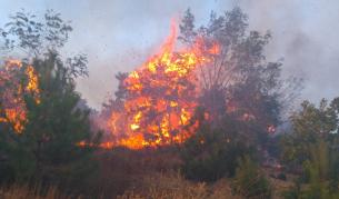 Пожарът край Априлци отново се е активизирал