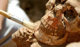 Доказаха праисторическо масово клане в Европа