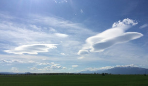 Емоциите влияят на начина, по който виждаме цветовете