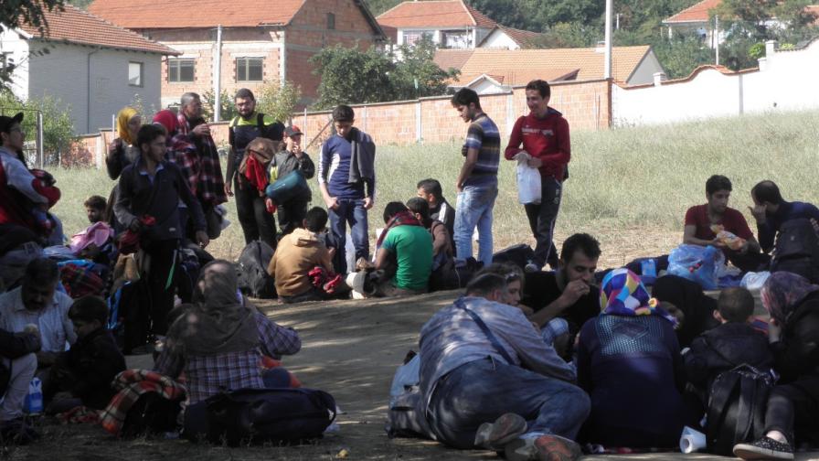 Нидал Хлайф: 2000 бежанци няма да затруднят България
