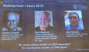 Нобелът за химия отива за изследвания върху „ремонта“ на ДНК