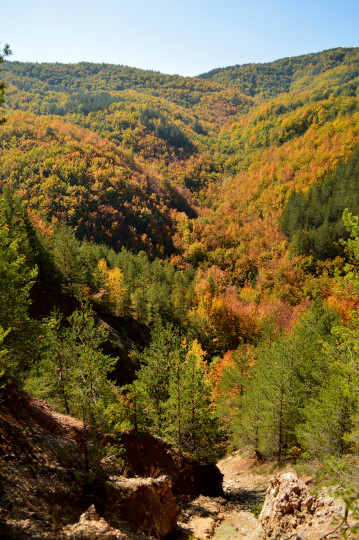 Гледка край село Гърбище