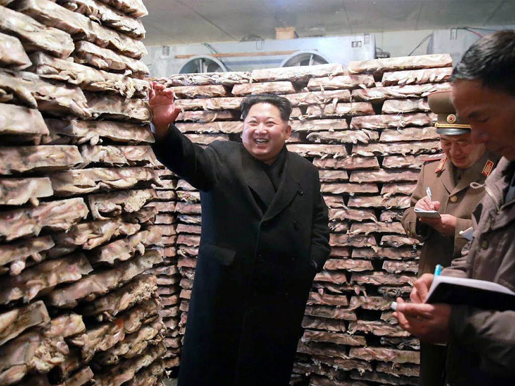Лидера на Северна Корея Ким Чен Ун на инспекция в риболовна станция на севернокорейската Народната армия.