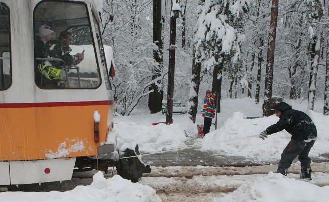 В София ентусиаст се пързаля, закачен за трамвай