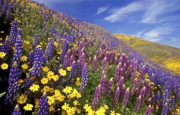 Дневен хороскоп за четвъртък, 25 януари - снимка 6