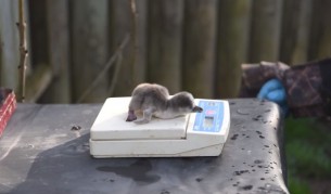 снимка: архив