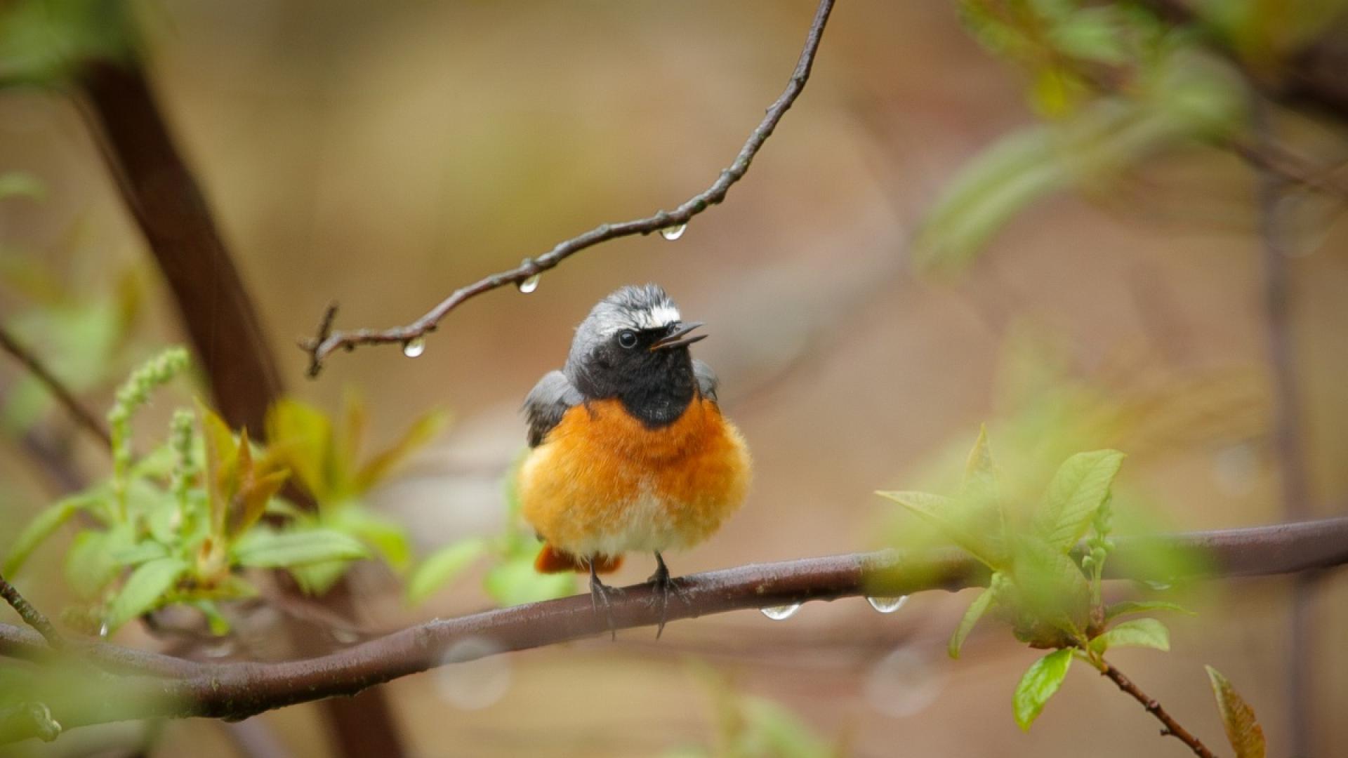 През следващото денонощие съществена промяна на времето няма да настъпи