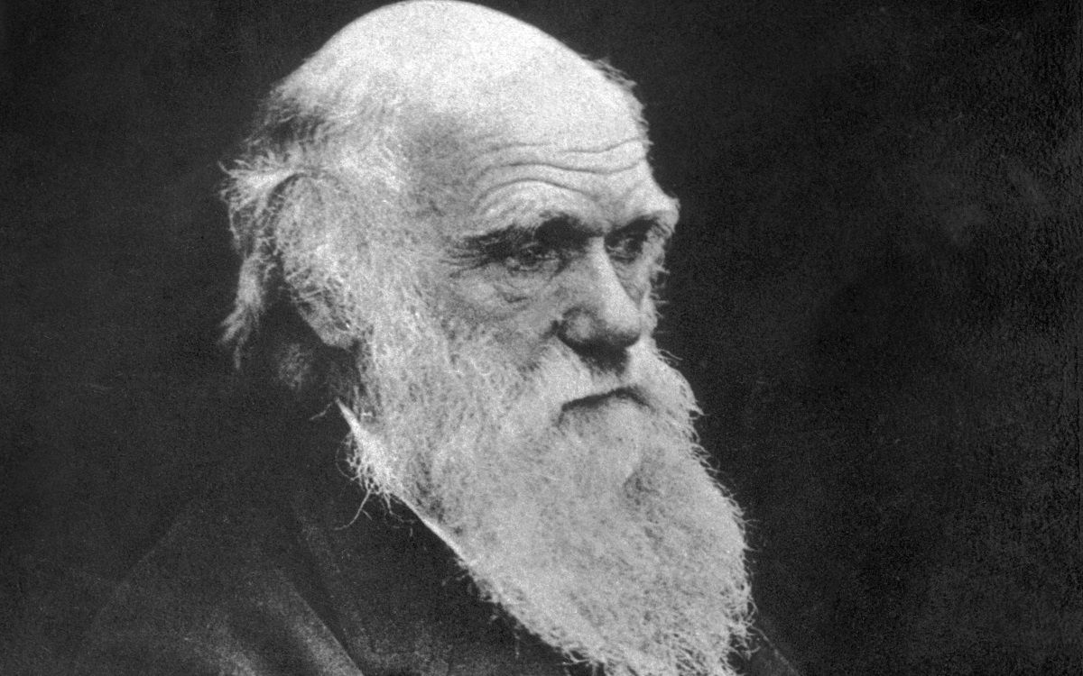 Когато бил студент в Кембридж, младият Чарлз Дарвин е бил член на Клуба на почитателите на изисканата кухня. Членовете му си поставяли за цел да ядат месо от редките животински видове. Ето защо Дарвин е дегустирал игуани, броненосци, американски щрауси, сови и гигантски костенурки.