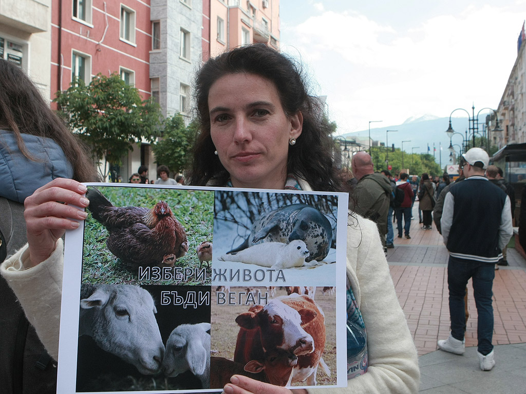 Протест "Месото е убийство" организираха вегани и вегетарианци в София. Хора, пакетирани като пилета в тарелки, бяха "сервирани" на бул. Витоша