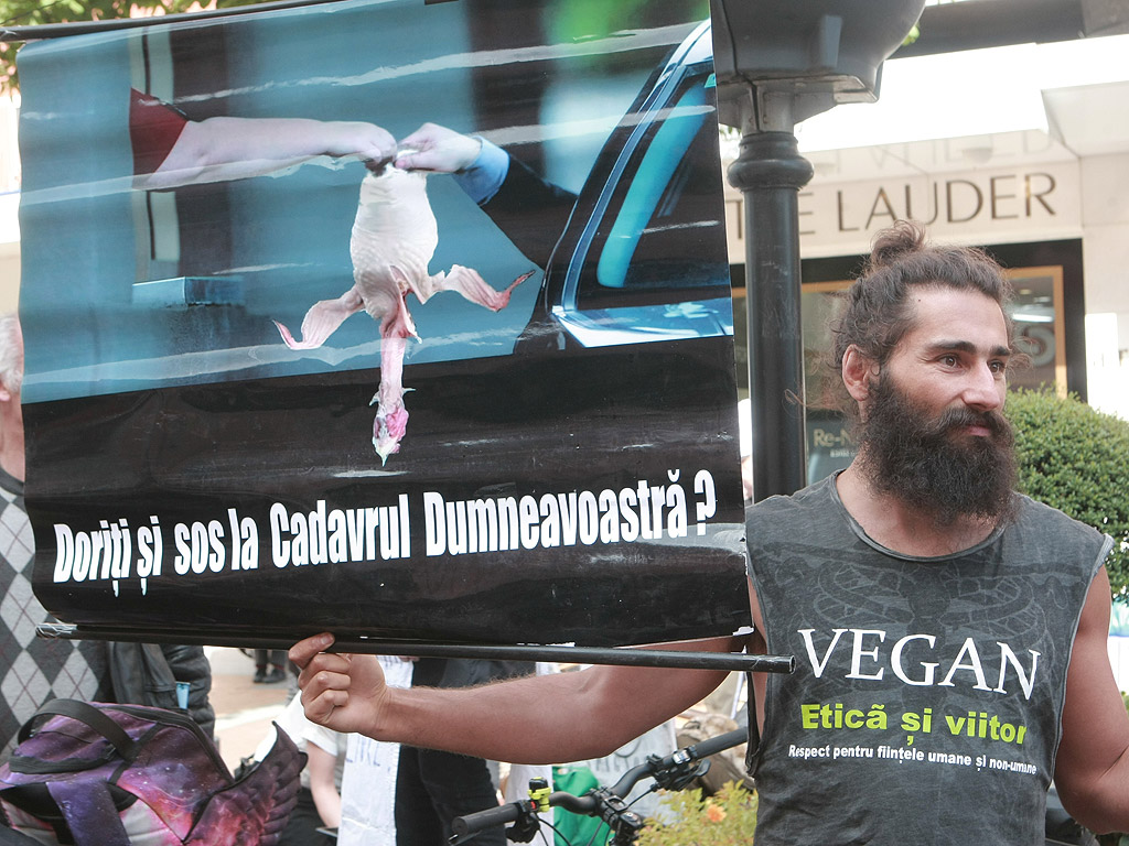 Протест "Месото е убийство" организираха вегани и вегетарианци в София. Хора, пакетирани като пилета в тарелки, бяха "сервирани" на бул. Витоша