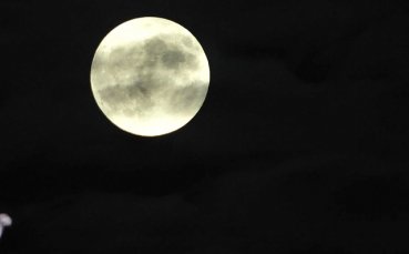 Лятото дойде с 