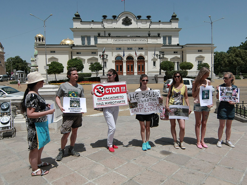 Протестиращите искат промяна в законодателството и "да се приравни убийството на всяко едно животно с убийството на хора. Искаме животът на животните да се третира по същия начин, както животът на хората"