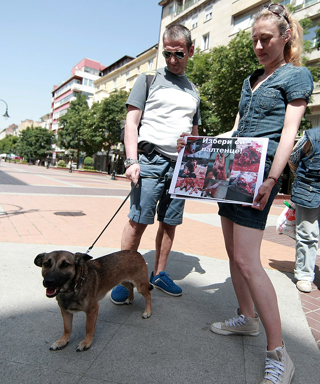 Протестиращите искат промяна в законодателството и "да се приравни убийството на всяко едно животно с убийството на хора. Искаме животът на животните да се третира по същия начин, както животът на хората"