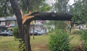 Паднал клон уби мъж в София