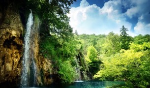 Джунгла в задния двор - мисията възможна