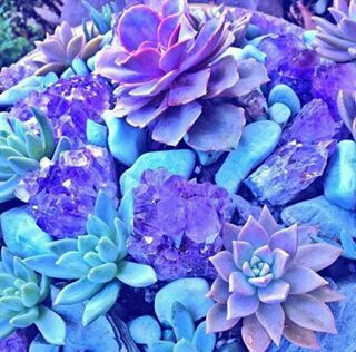 Дневен хороскоп за 15.07. - снимка 4