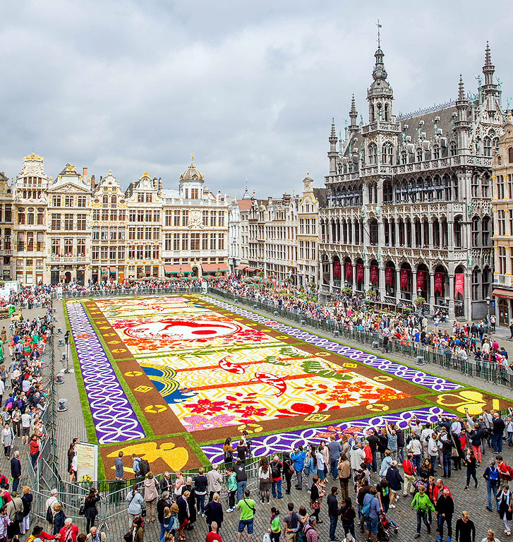 Доброволци подреждат цветя Бегония, за да направят гигантски цветен килим на Grand Place в Брюксел, Белгия. Тазгодишната тема отбелязва 150 години от белгийско-японската дружба. Цветния килим ще бъде изложен за обществеността от 13 до 15 август.