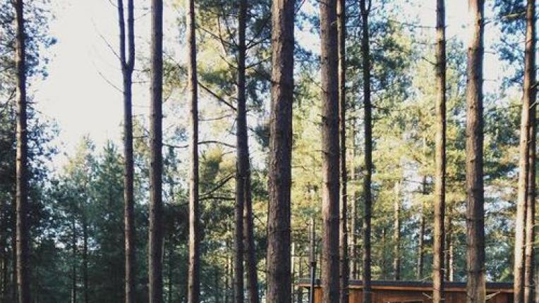  Най-мъдрите цитати на Руми 