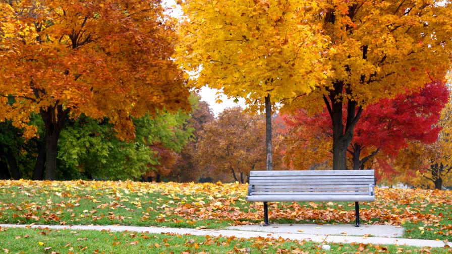 Утре леко ще се затопли, после идват дъжд и хлад