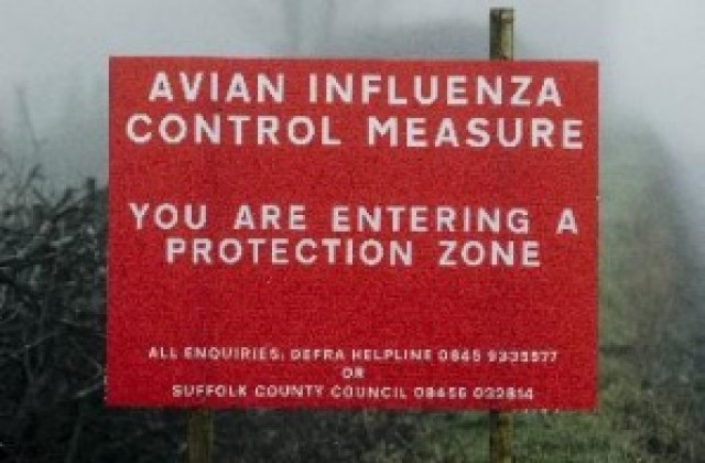 СЗО: Европа не е предпазена от епидемия сред хората на птичи грип H5N1