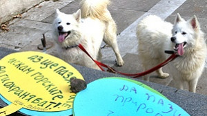 Приятели на Земята призоваха за мерки срещу промените в климата