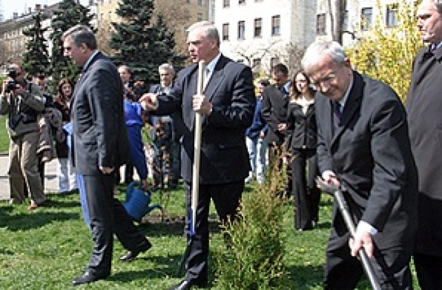 Калфин засади дръвчета заедно с посланици и кмета Борисов