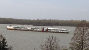 Създават съвет по Дунавските въпроси в Деня на Дунав