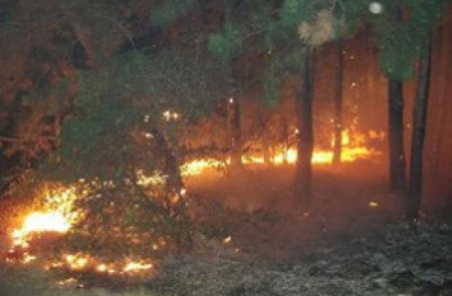 Локализираха пожара край Дъбрава от изток