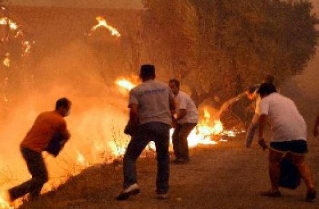 Щетите от пожарите в Гърция възлизат на над 1,5 млрд. евро