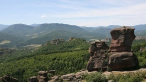 Организират почистване на природните паркове в събота