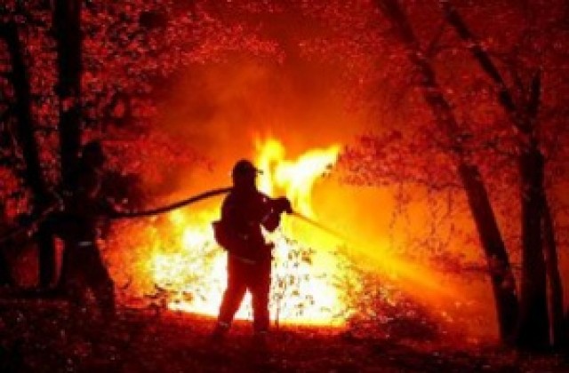 Щетите от пожарите в Калифорния надхвърлят 1 млрд. долара