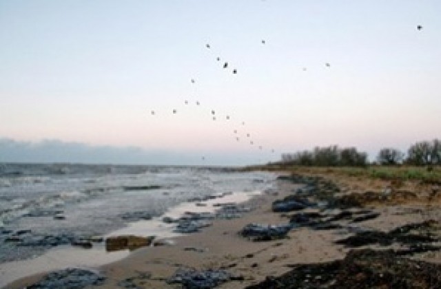 Над 13 т. петролни продукти са събрани от брега на Керченския пролив