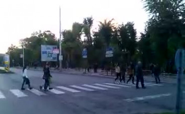 Мацки с добре развита пешеходна култура