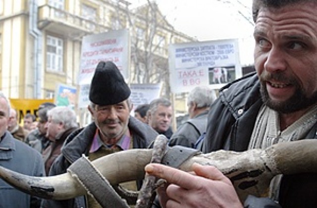 Млекопроизводители протестираха в столицата