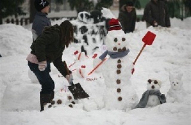 Над 300 участници се състезаваха в конкурс за снежна фигура