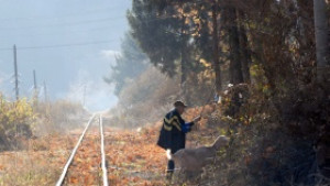 От утре млекопроизводителите кандидатстват за помощи