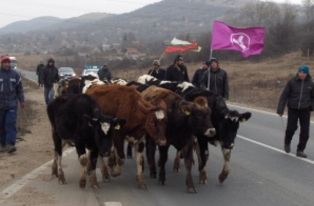 Протестиращите фермери тръгнаха по гл.път Е 79