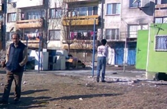 Бутнаха незаконни конюшни в Пловдив