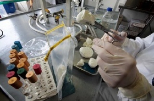 Италия гарантира, че не е изнасяла заразено с диоксин сирене моцарела